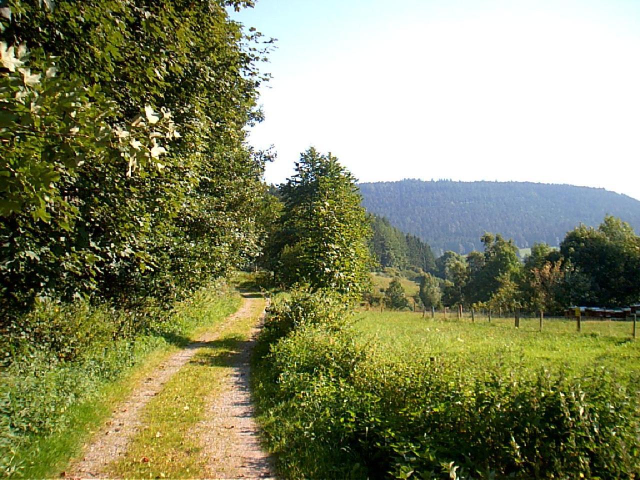 Gasthof Erlenhof アルピルスバッハ エクステリア 写真